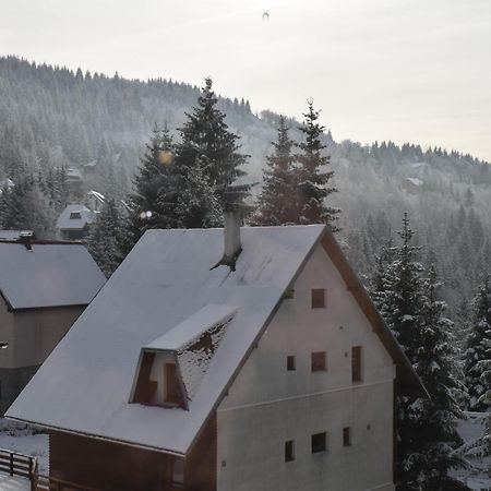 Vila Irina Kopaonik Bagian luar foto