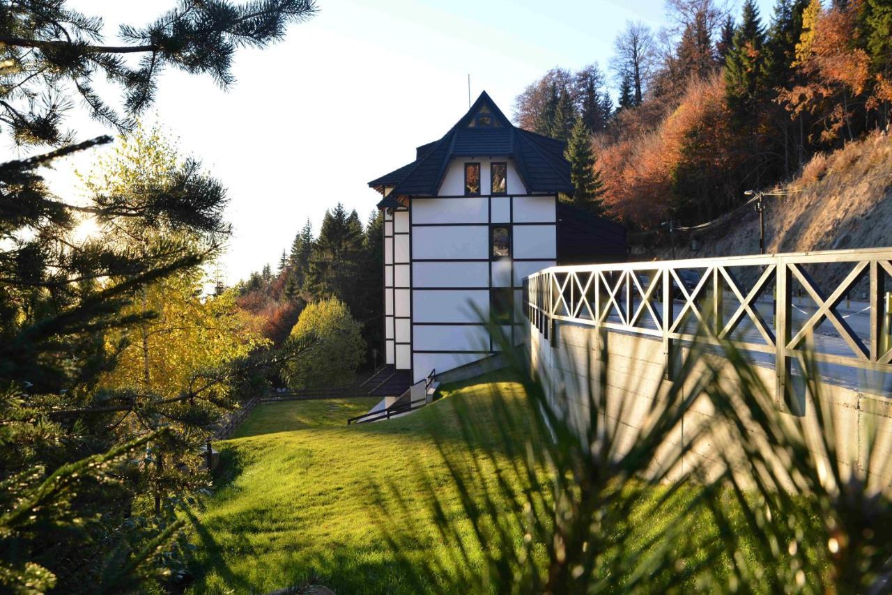 Vila Irina Kopaonik Bagian luar foto