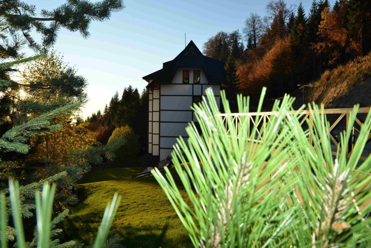 Vila Irina Kopaonik Bagian luar foto