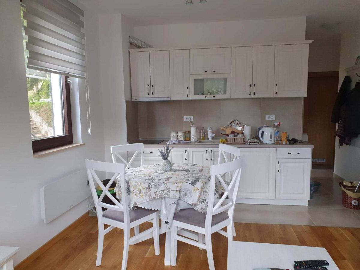 Vila Irina Kopaonik Bagian luar foto