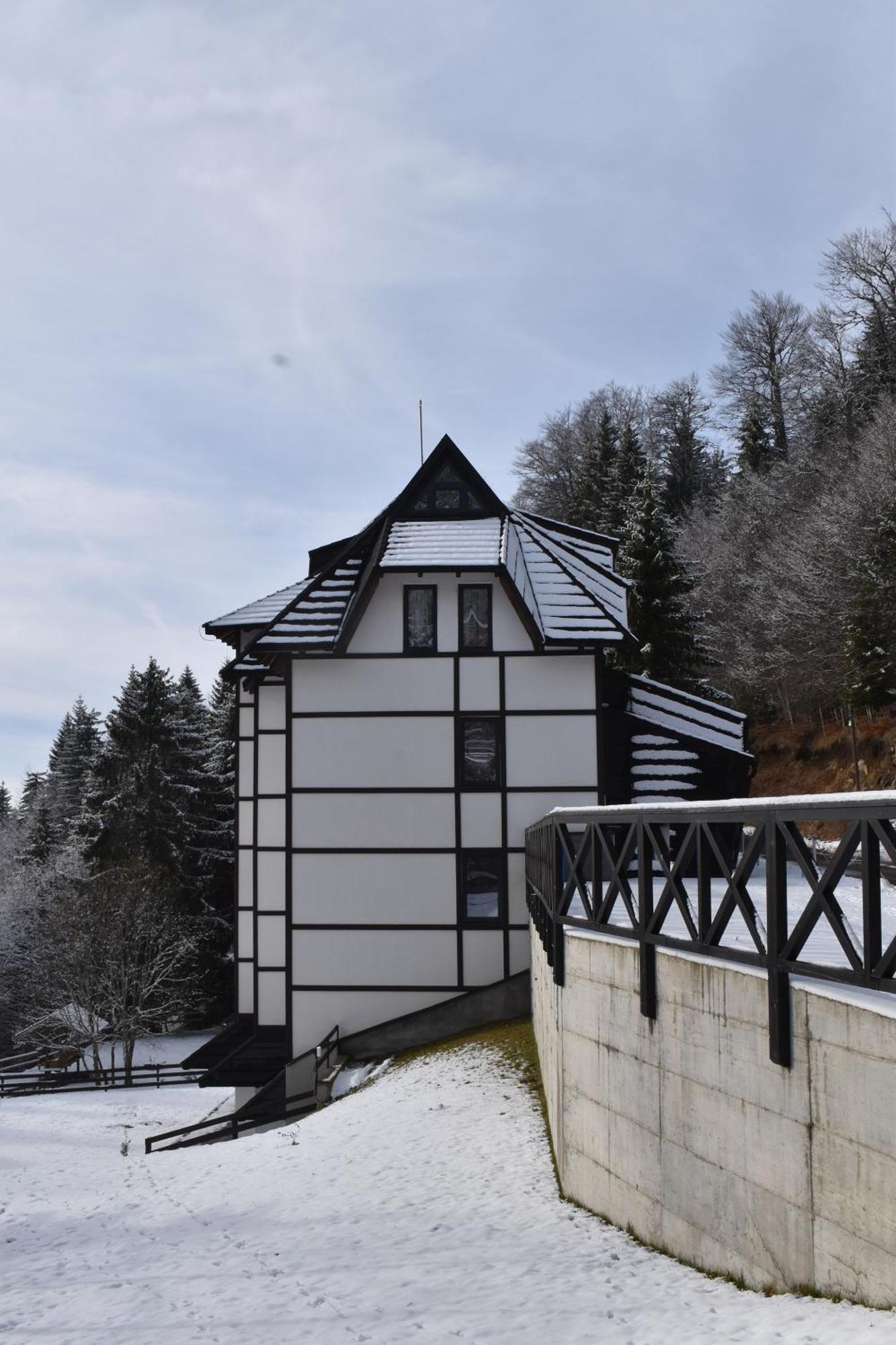 Vila Irina Kopaonik Bagian luar foto