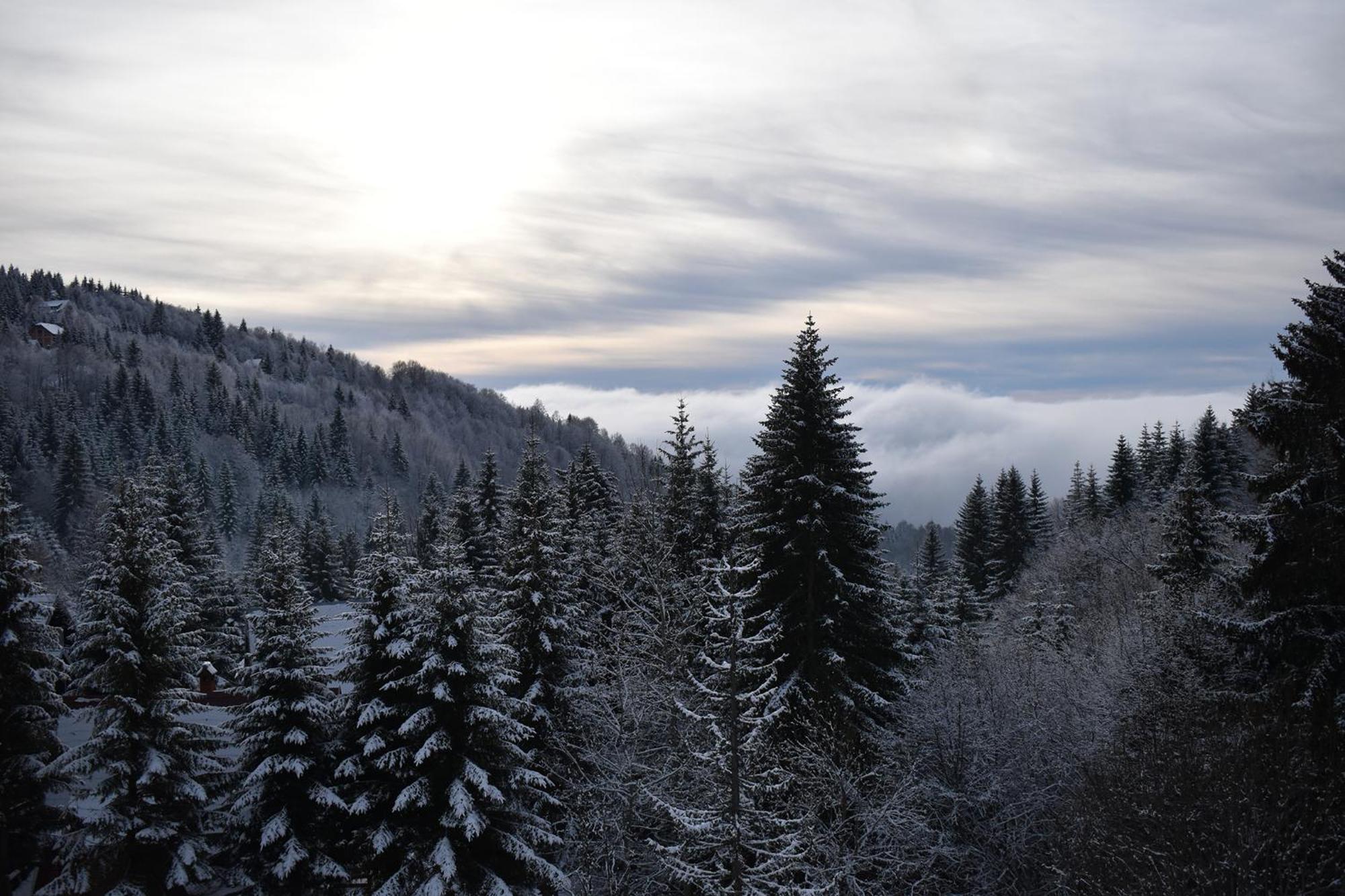 Vila Irina Kopaonik Bagian luar foto